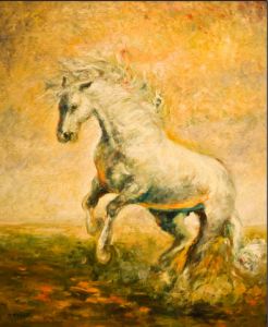 Exposition Concours-Gala Exposition Concours-Gala